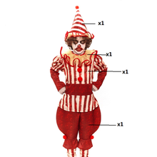 Cargar imagen en el visor de la galería, Disfraz Payaso Loco Niño Infantil Para Fiestas Halloween Carnaval Teatro