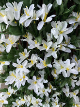 Cargar imagen en el visor de la galería, Valla Celosía plegable Mimbre extensible de madera natural enrejada soporte para cerca para planta trepadora