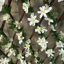 Cargar imagen en el visor de la galería, Valla Celosía plegable Mimbre extensible de madera natural enrejada soporte para cerca para planta trepadora