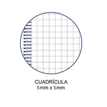 Cargar imagen en el visor de la galería, Cuaderno con 120 hojas 90 g microperfarados con 4 bandas de color, cuadrícula 5x5 mm. Tapas de Polipropileno, sobre interior y 3 separadores dobles rígidos opacos