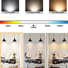 Cargar imagen en el visor de la galería, Bombilla LED con Sensor Crepuscular Day/Night, E27, 900Lm, 9W, Equivalente a 72W, Luz Blanca Fría 6500K, Encendido/Apagado Automático, Para Pasillo, Jardín, Terraza, 2Pcs