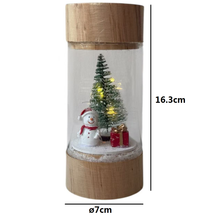 Cargar imagen en el visor de la galería, Figura Navideña en Tubo de Cristal con Luz LED – 3 Modelos al Azar para Decoracion de Navidad ø7x16.3cm