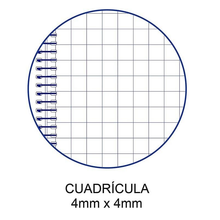 Cargar imagen en el visor de la galería, Cuadernos A4+ 23,1 x 29,5 cm, 160 Hojas, Cuadrícula 5x5 mm, Espiral y Tapa Plástica