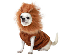 Cargar imagen en el visor de la galería, Disfraz para Perro Mascota León