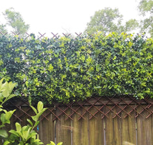 Cargar imagen en el visor de la galería, Valla Celosía plegable Mimbre extensible de madera natural enrejada soporte para cerca para planta trepadora