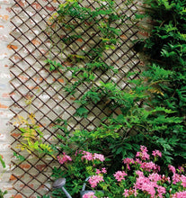 Cargar imagen en el visor de la galería, Valla Celosía plegable Mimbre extensible de madera natural enrejada soporte para cerca para planta trepadora