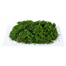Cargar imagen en el visor de la galería, Musgo Natural para Navidad – 300 g | Decoración Navideña y Manualidades