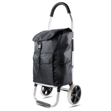 Cargar imagen en el visor de la galería, Carro de Compra de 2 Ruedas Grande de ø21 cm con marco de aluminio Ligero plegable portátil 43x36x103 cm