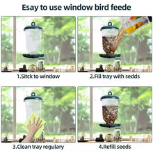 Cargar imagen en el visor de la galería, Comedero para pájaros salvajes de gran capacidad de Plástico con Ventosa