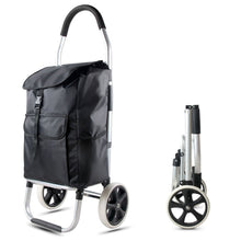 Cargar imagen en el visor de la galería, Carro de Compra de 2 Ruedas Grande de ø21 cm con marco de aluminio Ligero plegable portátil 43x36x103 cm