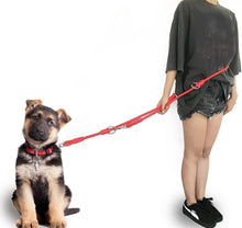 Cargar imagen en el visor de la galería, Correa para Perro Mascotas Correa de Perro Doble Ajustable Varias Posiciones L