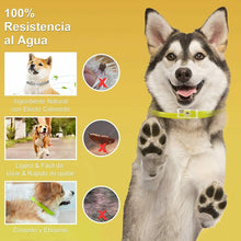 Cargar imagen en el visor de la galería, 2 Collares repelente pulgas garrapatas 60 cm talla L recortable antiparásitos, Colla antiparasitario Perros