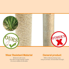 Cargar imagen en el visor de la galería, Maxiacota - Rascador Gato Juguete para Gatos con Juguete Bola Materiales Rugoso Accesorio Ideal para