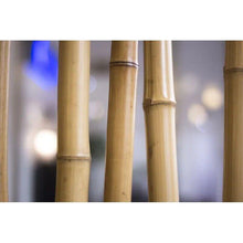 Cargar imagen en el visor de la galería, Cañas De Bambú, Palitas, Tutores Decorativos Para Decoracion Jardin Hogar