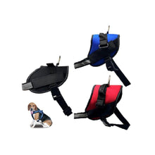 Cargar imagen en el visor de la galería, Arnés deporte reflectante 30mm x 58 / 74 cm perros mascotas sin estirones