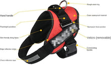 Cargar imagen en el visor de la galería, Arnés deporte reflectante 30mm x 58 / 74 cm perros mascotas sin estirones