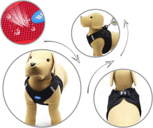 Cargar imagen en el visor de la galería, Arnés para Perros Mascotas Callar para Perros Mascotas pequeño Mediano y Grande