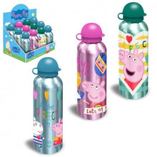 Cargar imagen en el visor de la galería, Cantimplora aluminio botella infantil 500 ml para niños con boquilla