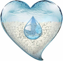 Cargar imagen en el visor de la galería, Arena para Gatos Aglomerante 5L arenero absorbente controla propagacion bacteria