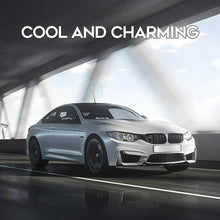 Cargar imagen en el visor de la galería, Antena coche auto automovil UNIVERSAL AM FM PLATA MOTO XXL SILVER