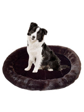 Cargar imagen en el visor de la galería, Cojín Cama Ovalado Para Perro Gato Mascotas Beige o Marrón 52x43cm