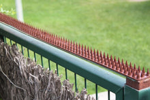 Cargar imagen en el visor de la galería, Pinchos Anti Aves Antipalomas de 4 Unidades de 49.5 x 4.6 x 1.8 cm, Pinchos Anti Gatos Palomas