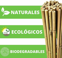 Cargar imagen en el visor de la galería, 20 Unids Tutores, Palitas, Cañas de Bambú Para Plantas o Decoracion Jardin Hogar