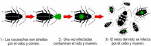Cargar imagen en el visor de la galería, Gel-cebo cucarachas insecticida para tipo de cucaracha(negra, rubio, americana