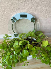 Cargar imagen en el visor de la galería, BASCULA DE BAÑO DIGITAL PESO 150 KG PRECISIÓN CRISTAL VIDRIO