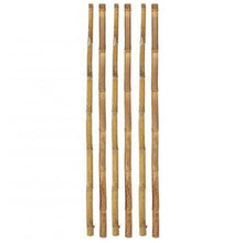 Cargar imagen en el visor de la galería, Cañas De Bambú, Palitas, Tutores Decorativos Para Decoracion Jardin Hogar