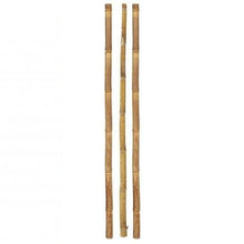 Cargar imagen en el visor de la galería, Cañas De Bambú, Palitas, Tutores Decorativos Para Decoracion Jardin Hogar
