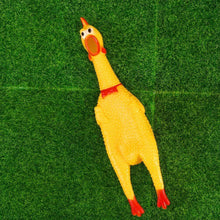 Cargar imagen en el visor de la galería, Juguete vinilo perro pollo que grita 2 pcs sonido estridente para mascotas