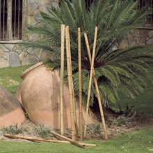 Cargar imagen en el visor de la galería, Cañas De Bambú, Palitas, Tutores Decorativos Para Decoracion Jardin Hogar