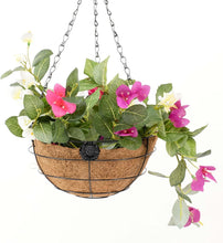 Cargar imagen en el visor de la galería, Macetero Colgante de Coco - Maceta con Cadena y Gancho - Decoración Colgante para Hogar, Terraza,