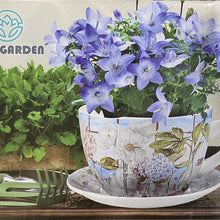 Cargar imagen en el visor de la galería, Taza Macetero con Plato de Céramica Para Plantas Decoracion Jardin Casa