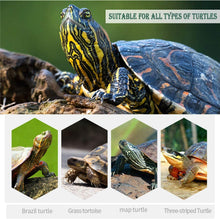 Cargar imagen en el visor de la galería, 12 Pcs Bloques de Cálcio para Tortugas Grande Natural Complemento Básico