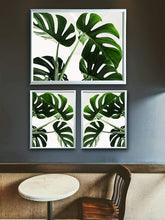 Cargar imagen en el visor de la galería, Marco de Fotos (blanco frio) Grandes para Pared MOD-313. Decoración Fotografía