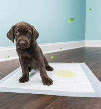 Cargar imagen en el visor de la galería, Empapadores de Entrenamiento para Perros Y Gatos Perfumes con Feromonas - 4 Medidas y diferentes cantidades