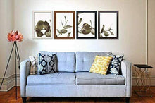 Cargar imagen en el visor de la galería, Maxia Market - Marco de foto de Madera, Marcos Diplomas, Portafoto de Pared Para Decoración de Casa, Fotografías de Boda, Fotos de paisajes, Acabado Elegante