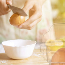 Cargar imagen en el visor de la galería, Huevera frigorifico nevera plastico organizador despensa 14 huevos 37x11x7,5 cm