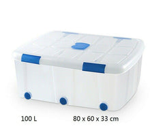 Cargar imagen en el visor de la galería, Caja de Plastico almacenamiento, TRANSPARENTE, Varios tamaños