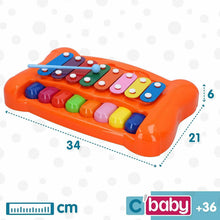 Cargar imagen en el visor de la galería, Piano y xilófono infantil 2 en 1 CB Toys