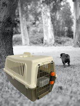 Cargar imagen en el visor de la galería, Transportin Plástico Con un Bebedero para mascota perro gato 53 X 34 X 37 CM Portarejilla Metálica Para Viaje