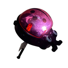 Cargar imagen en el visor de la galería, 5 Luces Solares de Jardín Mariquita LED Impermeables – Decoración Exterior para Plantas, Macetas, Césped, Balcón o Terraza
