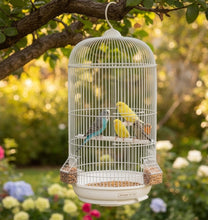 Cargar imagen en el visor de la galería, Jaula Redonda para Pájaros Pequeños y Medianos con Comederos y Accesorios - Color Aleatorio
