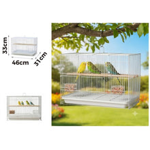 Cargar imagen en el visor de la galería, Jaula para Pájaros con Bandeja Extraíble y Percha de Madera – 3 Tamaños Disponibles
