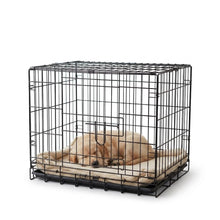 Cargar imagen en el visor de la galería, Transportín de Perro de 2 Puertas, Jaula para Perro Gato Animales Mascota Plegble con Asa  Metal Alambre Con Bandeja Plástico Extraible
