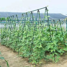 Cargar imagen en el visor de la galería, Pack 12 Tutores para Plantas de Acero Plastificado Verde Ø0.8-1.1 cm | Soporte para Tomates, Flores y Huerto | Varillas Jardín Varios Largos

