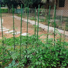 Cargar imagen en el visor de la galería, Pack 12 Tutores para Plantas de Acero Plastificado Verde Ø0.8-1.1 cm | Soporte para Tomates, Flores y Huerto | Varillas Jardín Varios Largos
