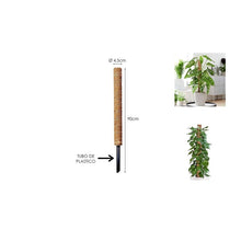 Cargar imagen en el visor de la galería, Tutor Fibra Coco Natural Pincho Plantas Trepadoras y Enredaderas, Guía para Las Raíces Paquete de 2
